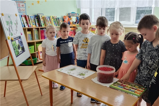 Польза смородины