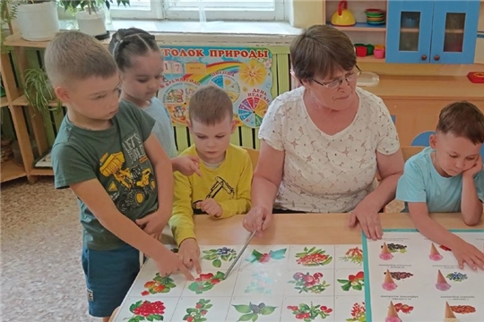 Польза летних ягод