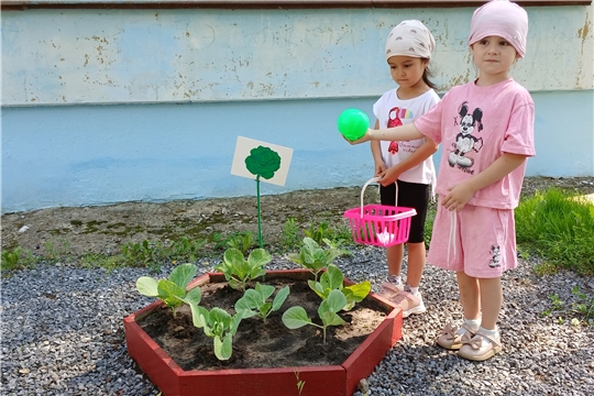 Лето - время есть овощи