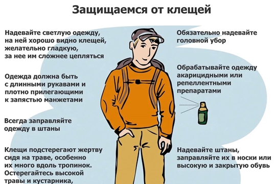 Защищаемся от клещей