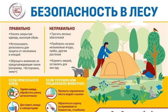 Безопасность в лесу