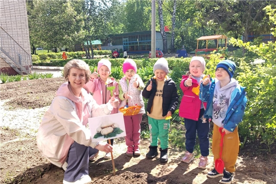 Посадили мы картошку.