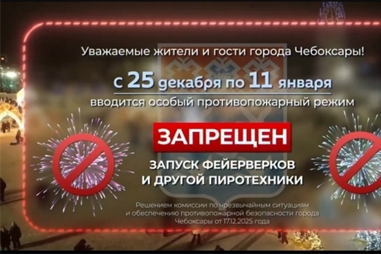 Безопасный Новый год!