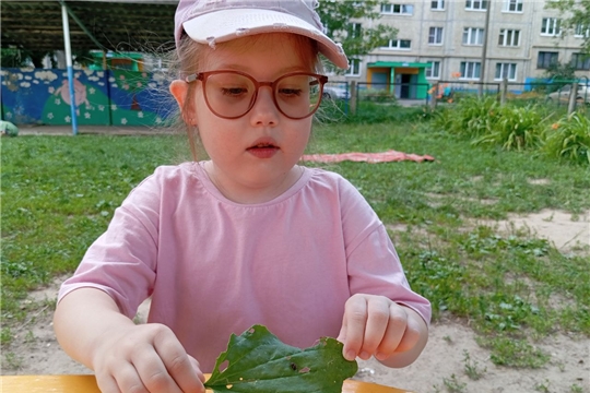 "Путешествие в мир насекомых"