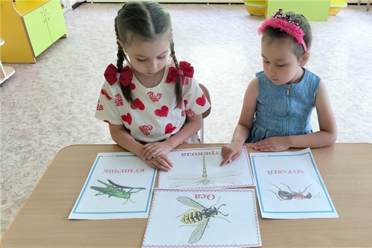 ТУРИСТиКо: «Юный натуралист»
