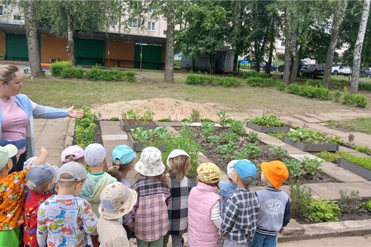 Здоровые дети - счастливые родители