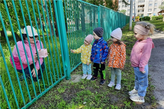 Осторожно, незнакомец!