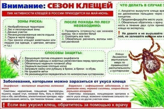 Чем опасны клещи?