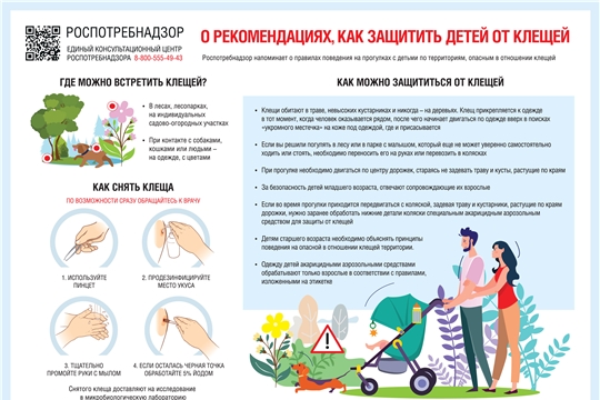 Как защитить детей от клещей