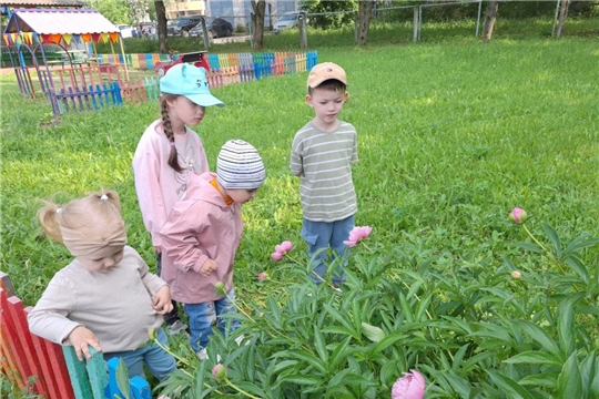 Наблюдение за пионами
