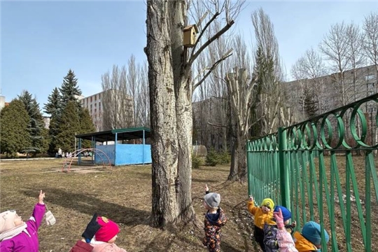 Скворцы прилетели, песенки запели! (1 корпус)