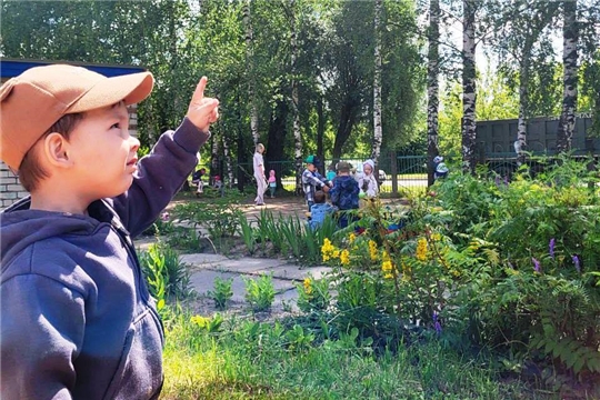 День ветра.