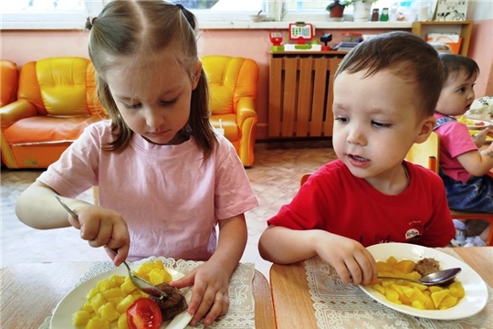 Мясные блюда в питании дошкольников.
