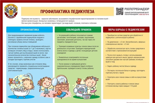 Профилактика педикулеза.