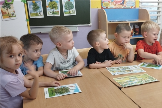 Познавательная беседа "Обеспечение безопасности жизнедеятельности в лесном массиве"