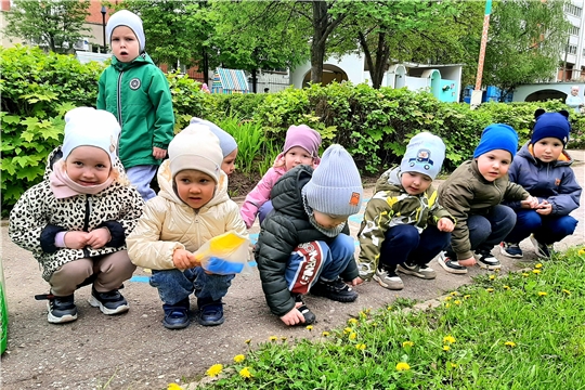 Одуванчики