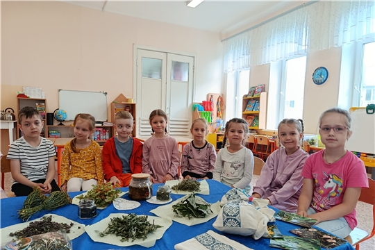 Детям о лекарственных травах