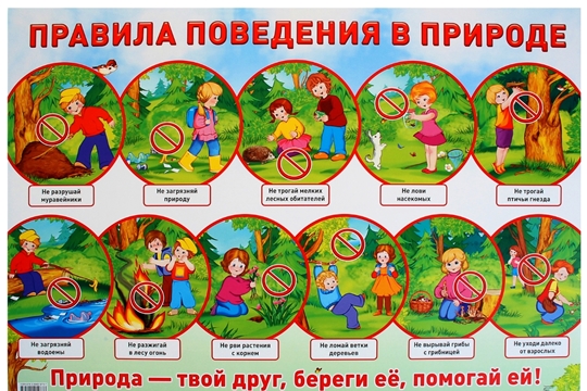 Безопасность в природе