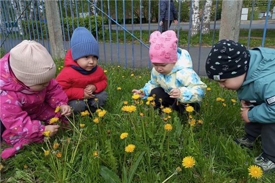 День одуванчика