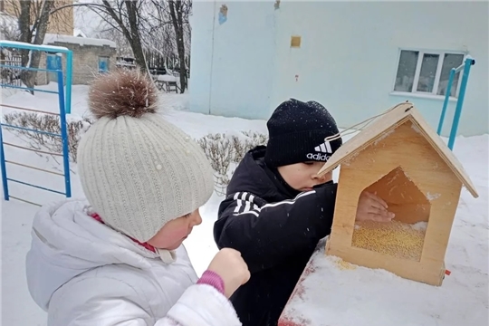 Забота о птицах