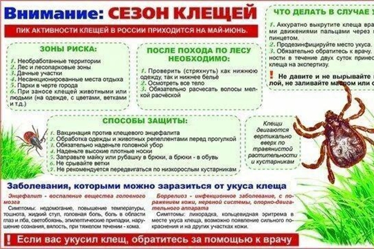 Сезон клещей