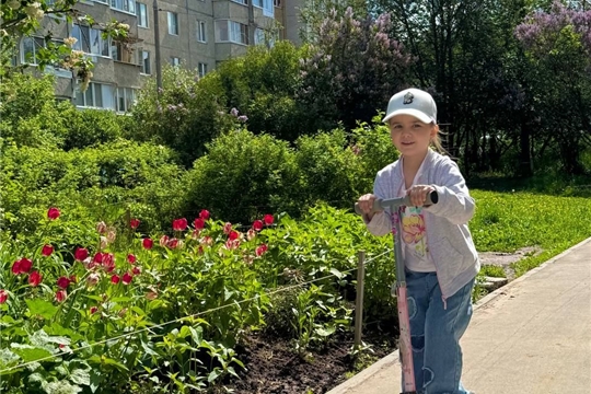 Безопасная езда на самокатах и велосипедах.