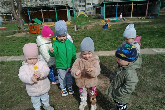 Наблюдение на прогулке