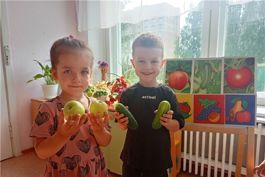 Овощи, ягоды, фрукты-полезные продукты