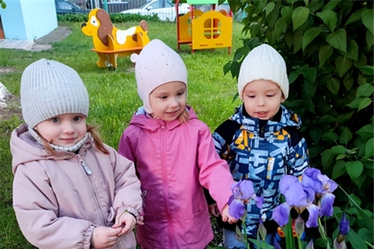Наблюдение за цветами