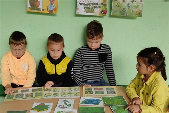 Путешествие в страну лекарственных растений