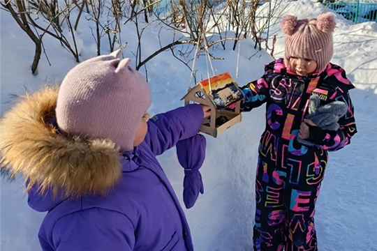 Покормите птиц зимой
