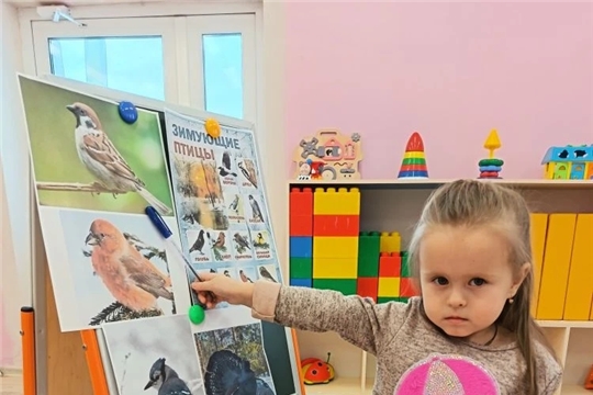 День зимующих птиц