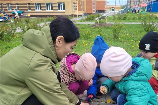 День одуванчиков