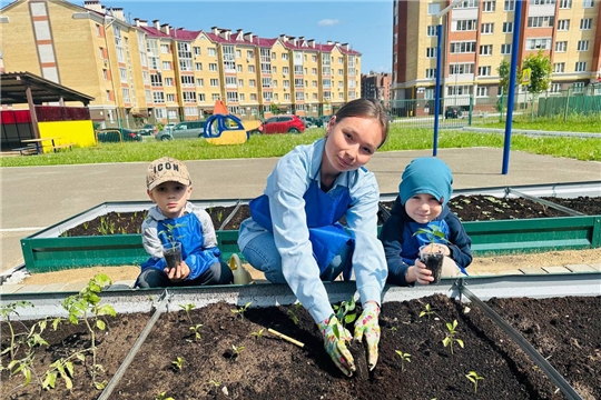 Посадили огород, посмотрите, что растет!