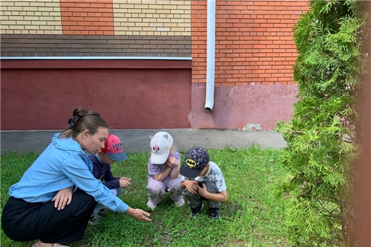 «Осторожно, грибы!»