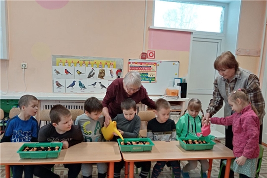 Посадка лука – это и эксперимент, и опыт, и ведение дневника наблюдений, и первые зеленые витамины.