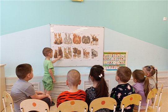 Тема недели: дикие животные леса.