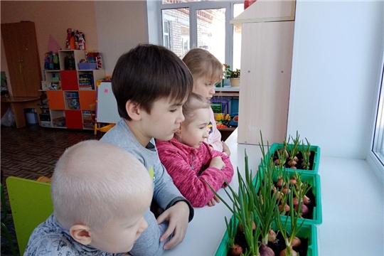 Вот и вырос наш лучок.