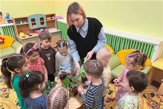 Уход за комнатными растениями