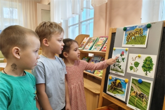 Польза меда