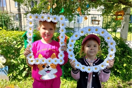 Ромашка — символ Дня семьи, любви и верности