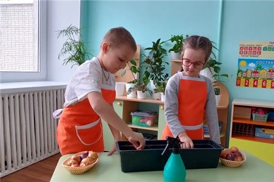 16.01.2026 "Посадка лука"
