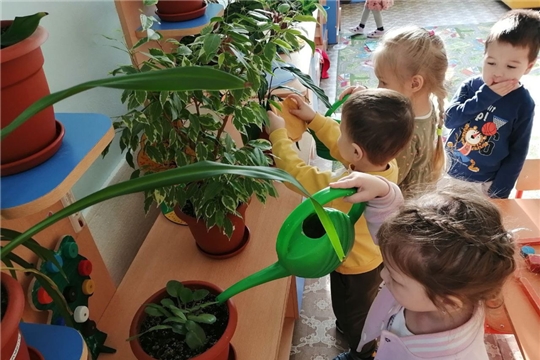 29.01.2026 "Полив комнатных растений"