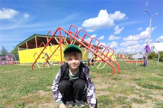 Одуванчик