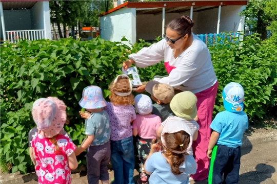 День охраны окружающей среды