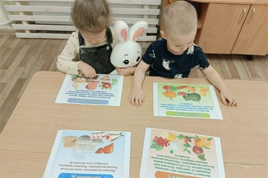 Витаминная страна