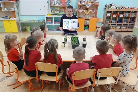 О пользе лука и чеснока
