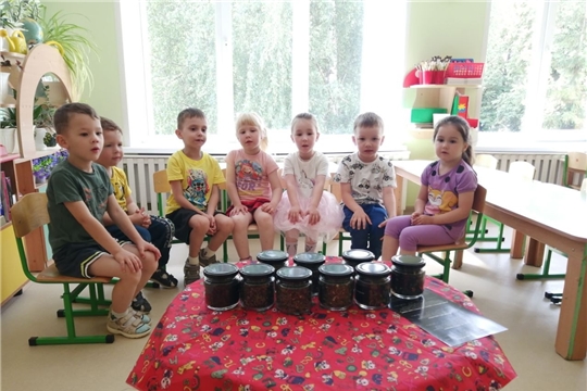 Польза напитков в рационе детей