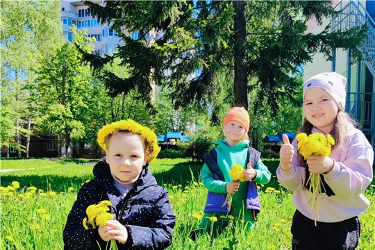 Всемирный День одуванчика