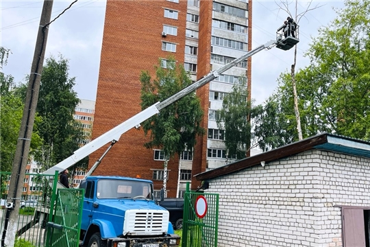 Вырубка деревьев на территории ДОУ